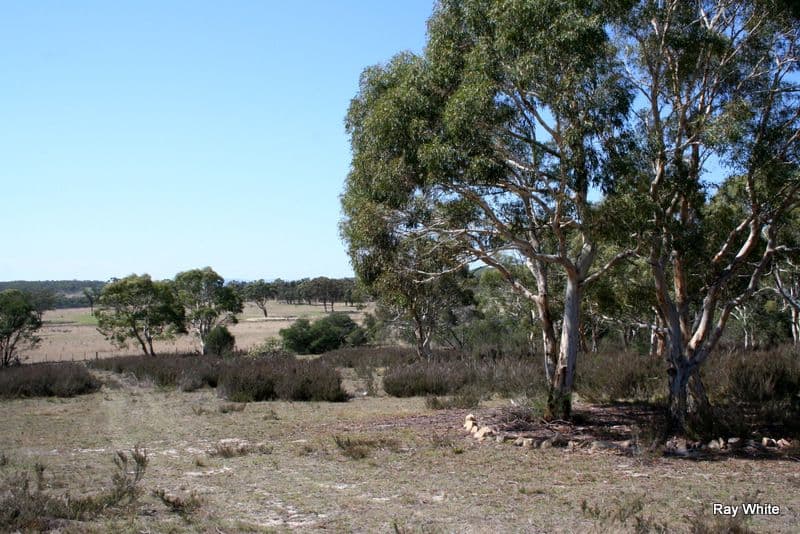3 Bombay Road, BRAIDWOOD NSW 2622, Braidwood - Thumbnail 7