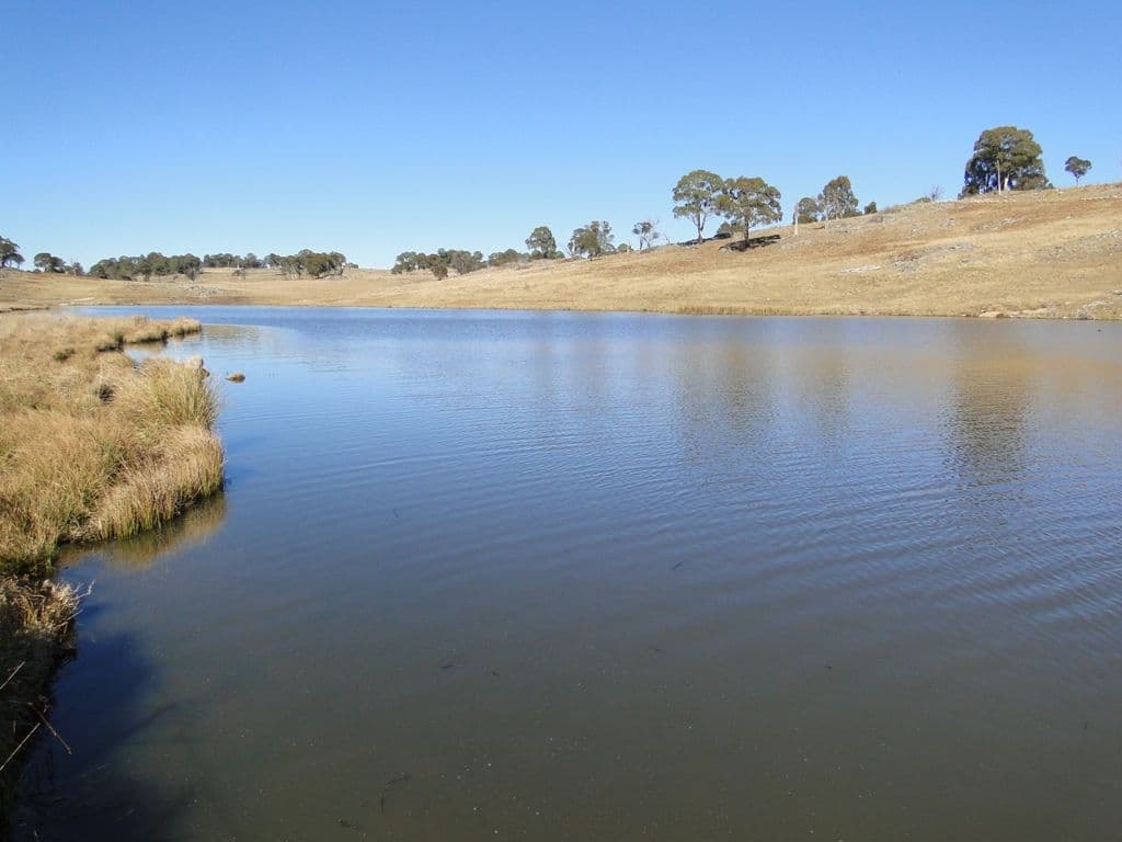 GUYRA NSW 2365, Guyra - Thumbnail 5