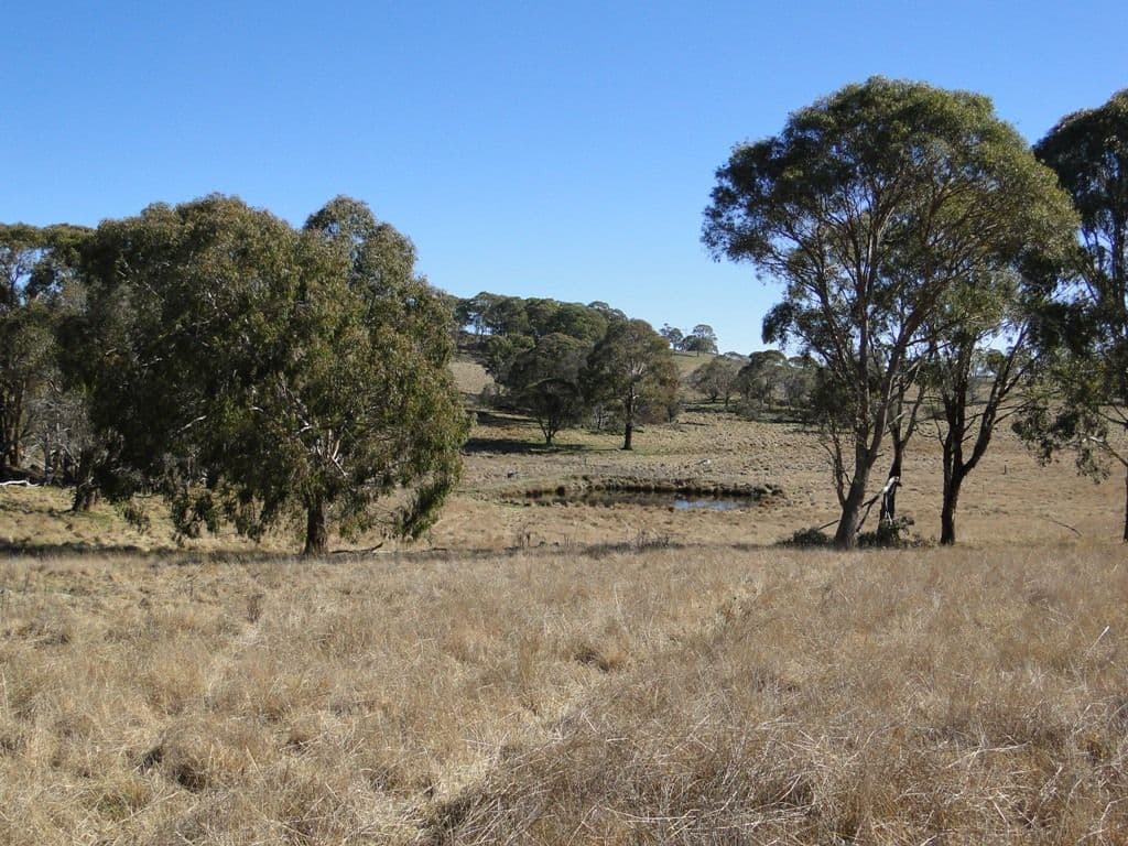 GUYRA NSW 2365, Guyra - Thumbnail 8