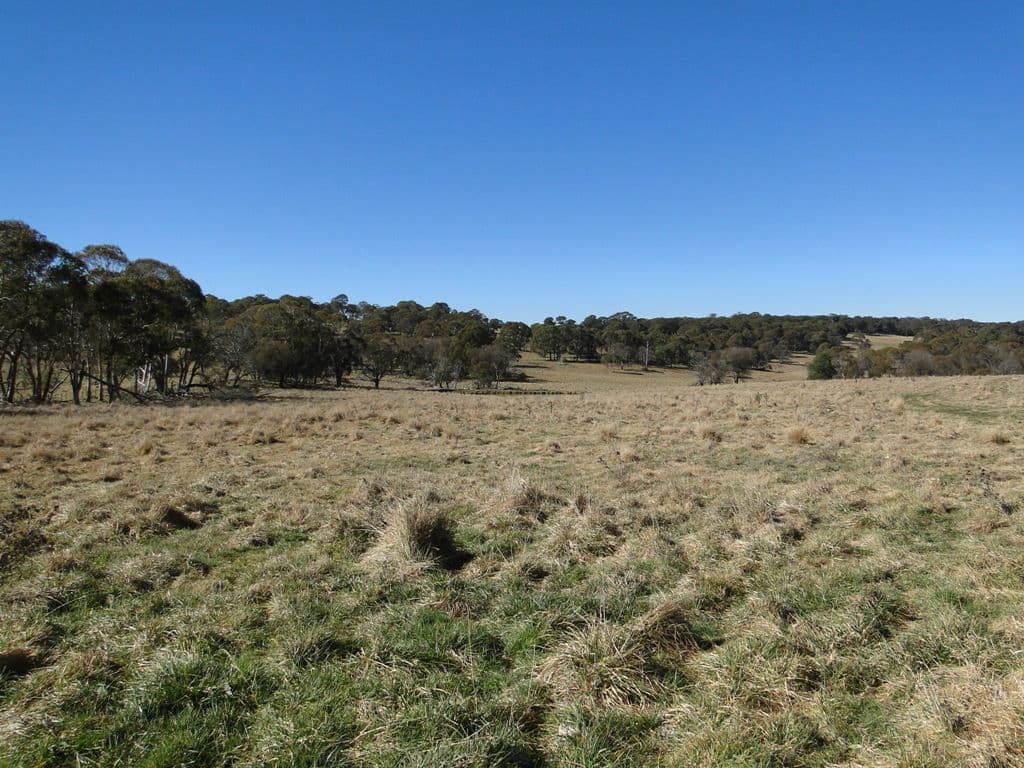 GUYRA NSW 2365, Guyra - Image 1