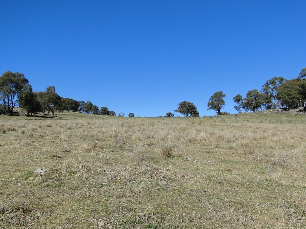 GUYRA NSW 2365, Guyra - Thumbnail 7