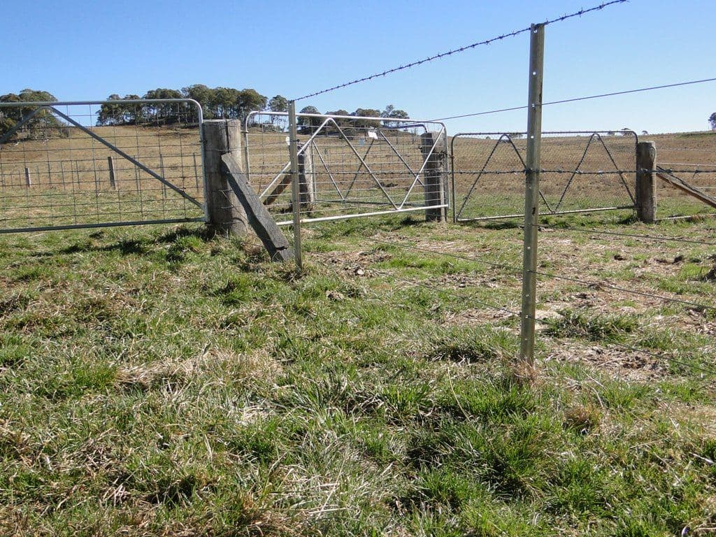 GUYRA NSW 2365, Guyra - Thumbnail 3