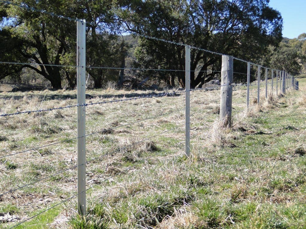 GUYRA NSW 2365, Guyra - Thumbnail 2