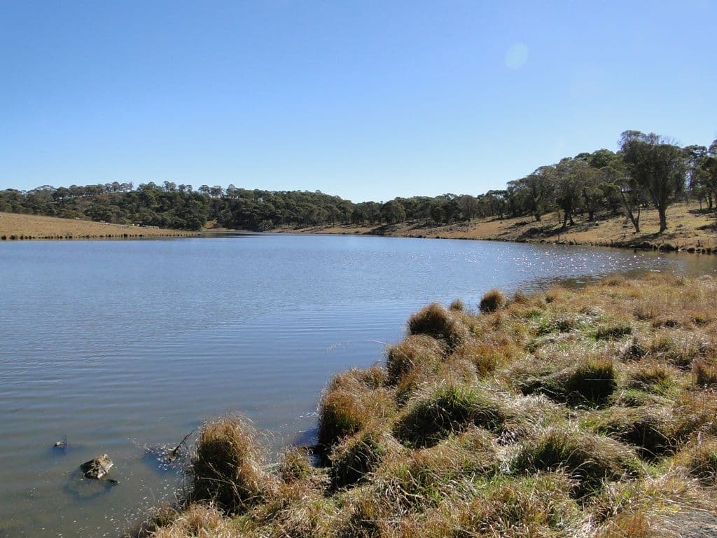 GUYRA NSW 2365, Guyra - Thumbnail 6