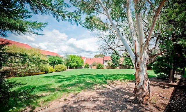 6/7 John Young Crescent, GREENWAY ACT 2900, Greenway - Image 1
