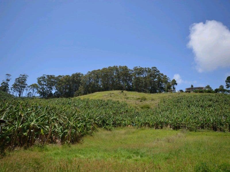 108 West Korora Road, COFFS HARBOUR NSW 2450, Coffs Harbour - Thumbnail 6