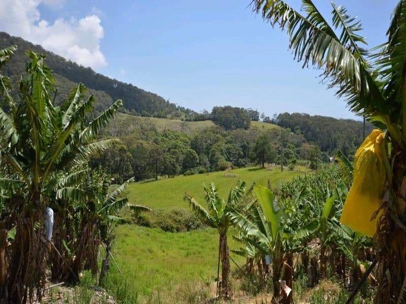 108 West Korora Road, COFFS HARBOUR NSW 2450, Coffs Harbour - Thumbnail 3