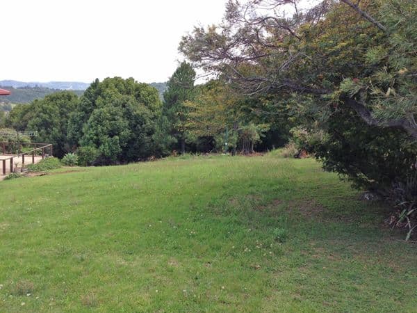53 Marana Street, BILAMBIL HEIGHTS NSW 2486, Bilambil Heights - Thumbnail 5