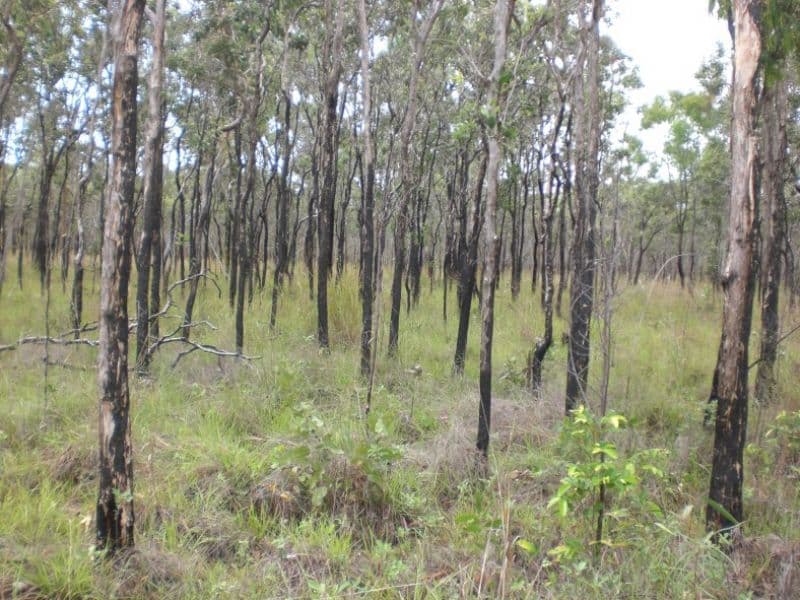 Lot 1 Bruce Highway, CLAIRVIEW QLD 4741, Clairview - Image 1