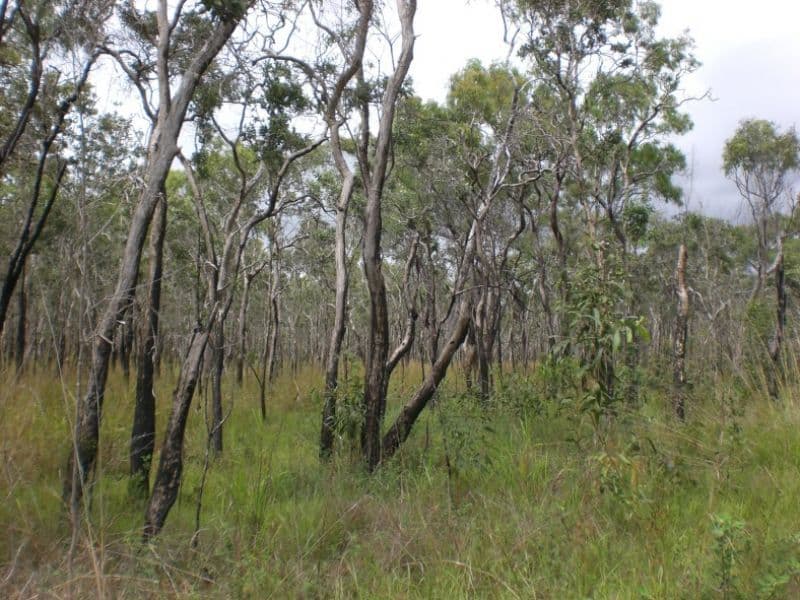 Lot 1 Bruce Highway, CLAIRVIEW QLD 4741, Clairview - Thumbnail 4