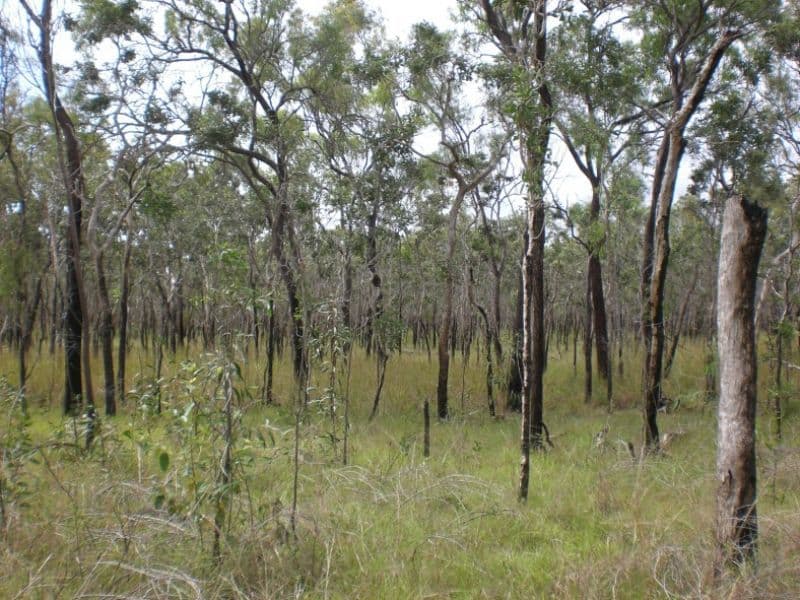 Lot 1 Bruce Highway, CLAIRVIEW QLD 4741, Clairview - Thumbnail 5