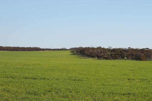 Section 31 Hundred of Rudall CAMPFIELD, RUDALL SA 5642, Rudall - Thumbnail 3