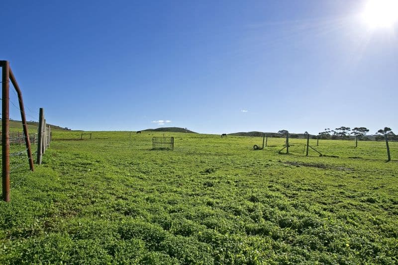 Lot 368 Eudunda Road, POINT PASS SA 5374, Point Pass - Thumbnail 8
