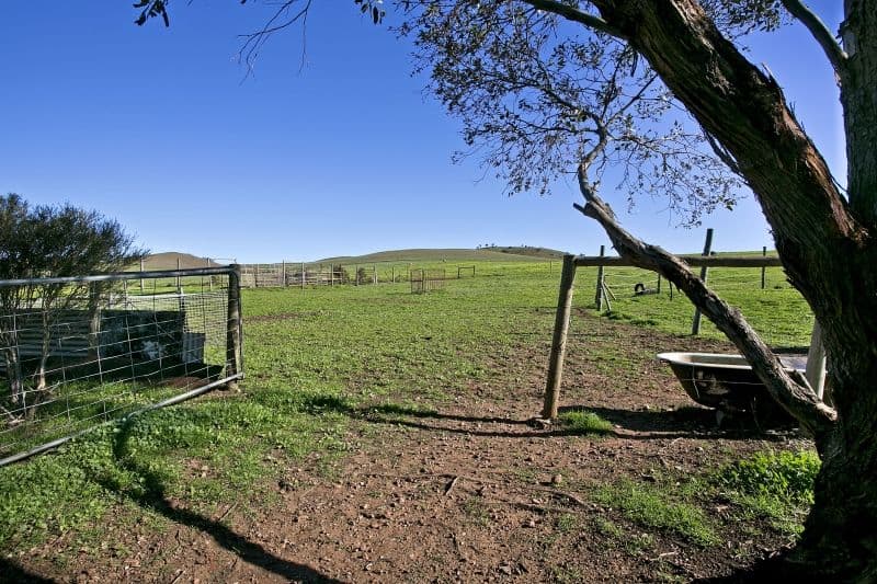 Lot 368 Eudunda Road, POINT PASS SA 5374, Point Pass - Thumbnail 7