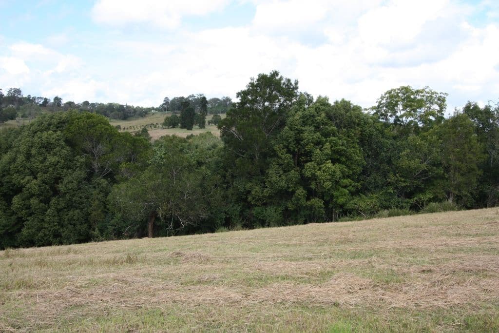 50 Offer Road, VETERAN QLD 4570, Veteran - Thumbnail 6