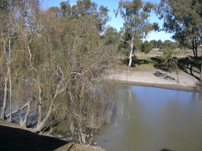 4 Lang Street, WANGANELLA NSW 2710, Wanganella - Thumbnail 4