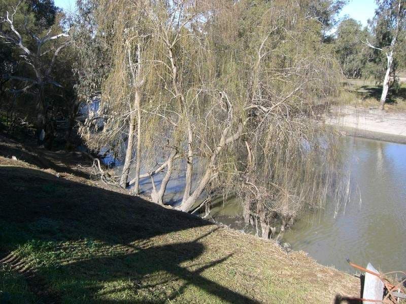 4 Lang Street, WANGANELLA NSW 2710, Wanganella - Thumbnail 3
