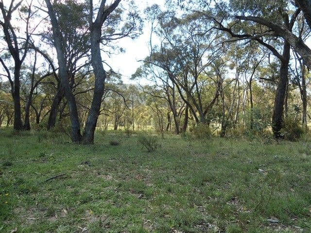 282 Mt Haven Way, BATHURST NSW 2795, Bathurst - Thumbnail 6