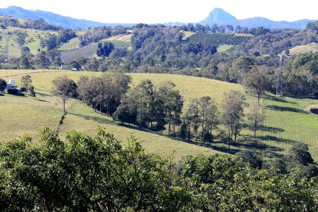 163 Amamoor Creek Road, AMAMOOR QLD 4570, Amamoor - Thumbnail 2