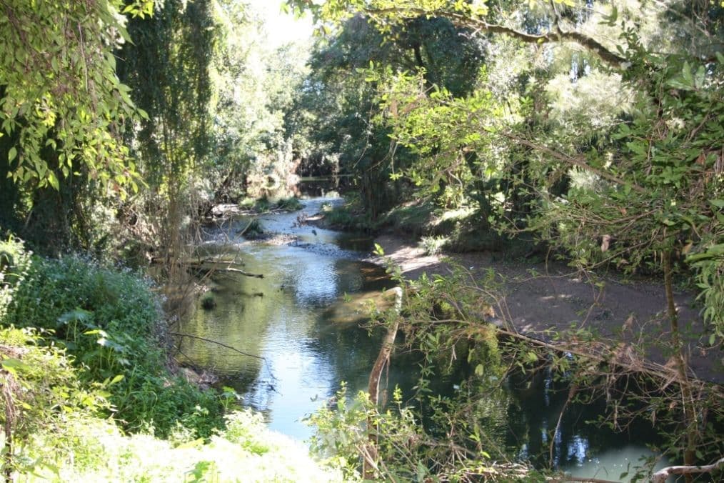 163 Amamoor Creek Road, AMAMOOR QLD 4570, Amamoor - Thumbnail 3