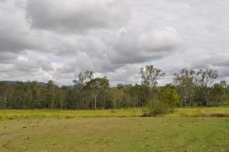 199 Campbells Road, KOUMALA QLD 4738, Koumala - Thumbnail 5