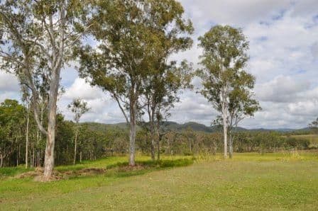 199 Campbells Road, KOUMALA QLD 4738, Koumala - Thumbnail 6