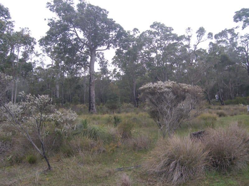 796 Parker Road, DENMARK WA 6333, Denmark - Image 1