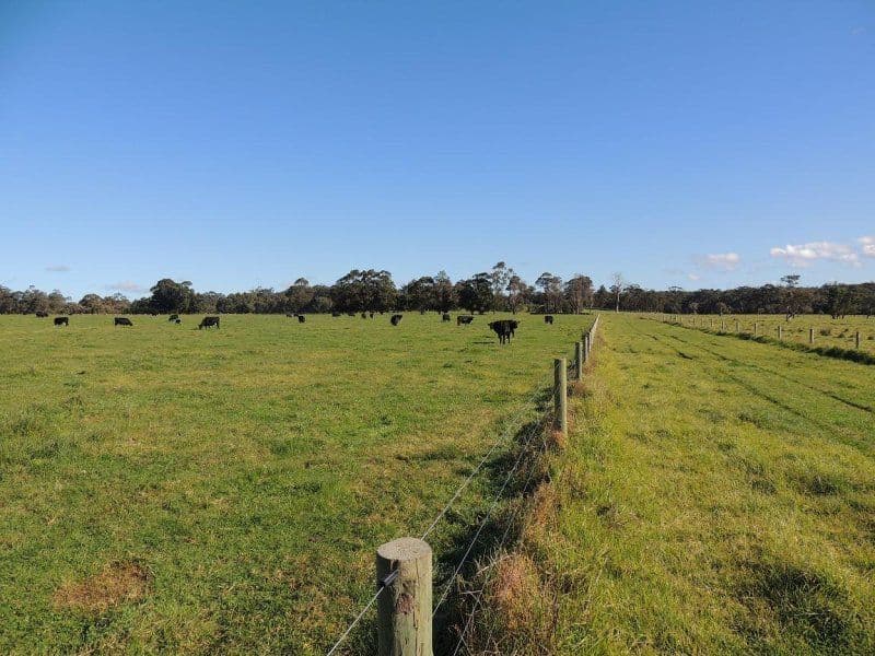 200 Settlers Road, DENMARK WA 6333, Denmark - Thumbnail 5