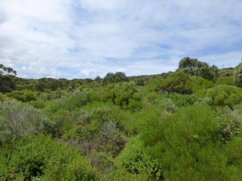 142 Shane Burke Circle, DENMARK WA 6333, Denmark - Thumbnail 3