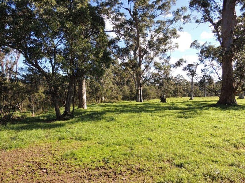200 Settlers Road, DENMARK WA 6333, Denmark - Thumbnail 3