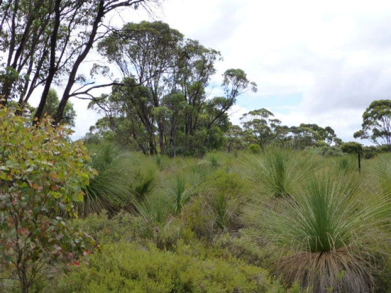 142 Shane Burke Circle, DENMARK WA 6333, Denmark - Thumbnail 7