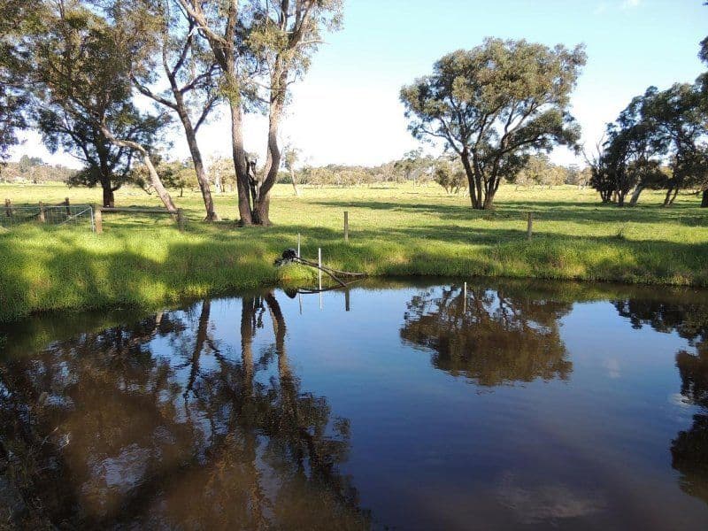 200 Settlers Road, DENMARK WA 6333, Denmark - Thumbnail 4