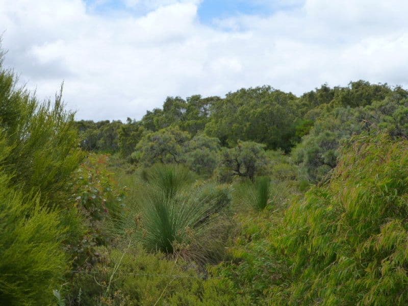 142 Shane Burke Circle, DENMARK WA 6333, Denmark - Thumbnail 5