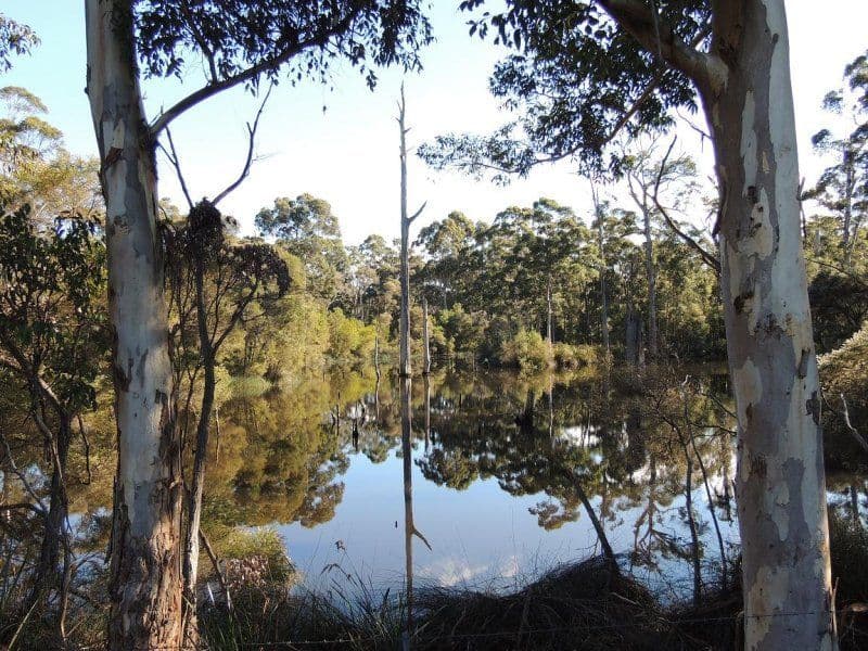 200 Settlers Road, DENMARK WA 6333, Denmark - Thumbnail 2