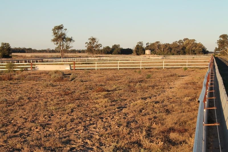 WONDALLI QLD 4390, Wondalli - Thumbnail 7