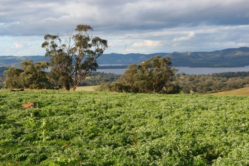 0 Burrendong Way, ORANGE NSW 2800, Orange - Thumbnail 8