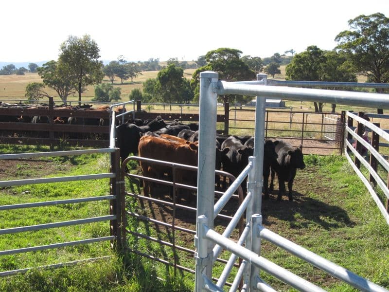 0 Burrendong Way, ORANGE NSW 2800, Orange - Thumbnail 7