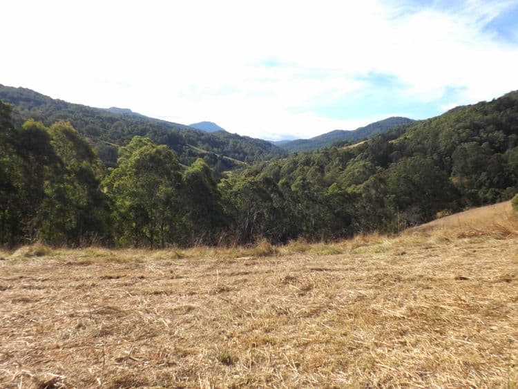 Lot 1 Carrowbrook Road, CARROWBROOK NSW 2330, Carrowbrook - Thumbnail 3