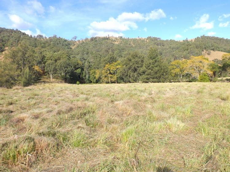 Lot 1 Carrowbrook Road, CARROWBROOK NSW 2330, Carrowbrook - Thumbnail 2