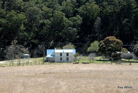 269 Torpy's Lane, BRAIDWOOD NSW 2622, Braidwood - Image 1
