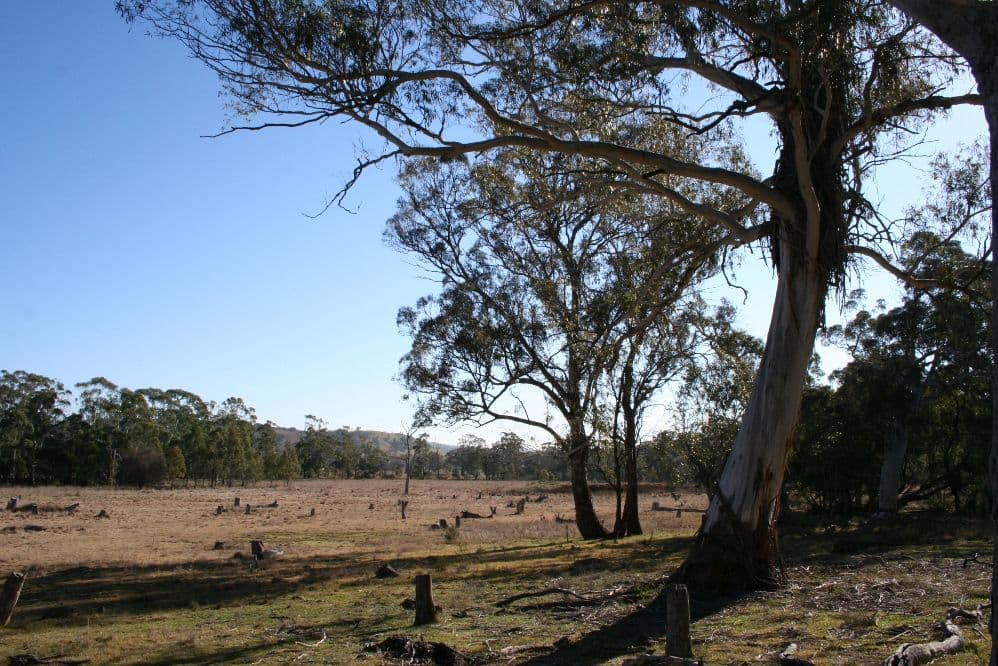 108 Jones Road, MANAR NSW 2622, Manar - Image 1