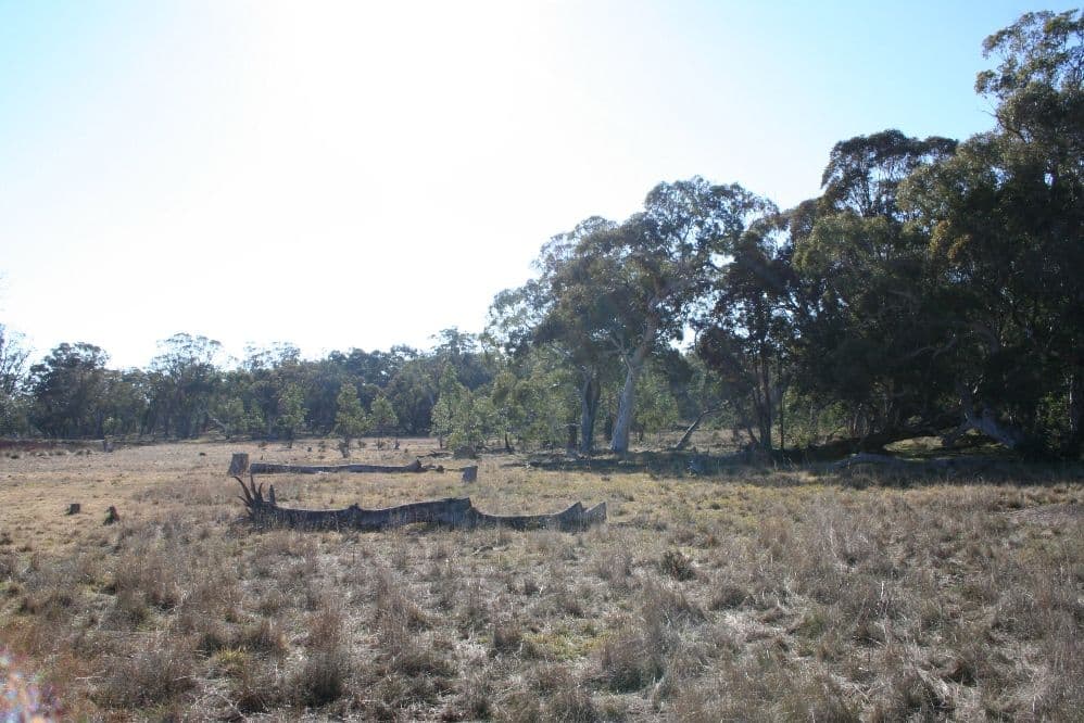 108 Jones Road, MANAR NSW 2622, Manar - Thumbnail 3
