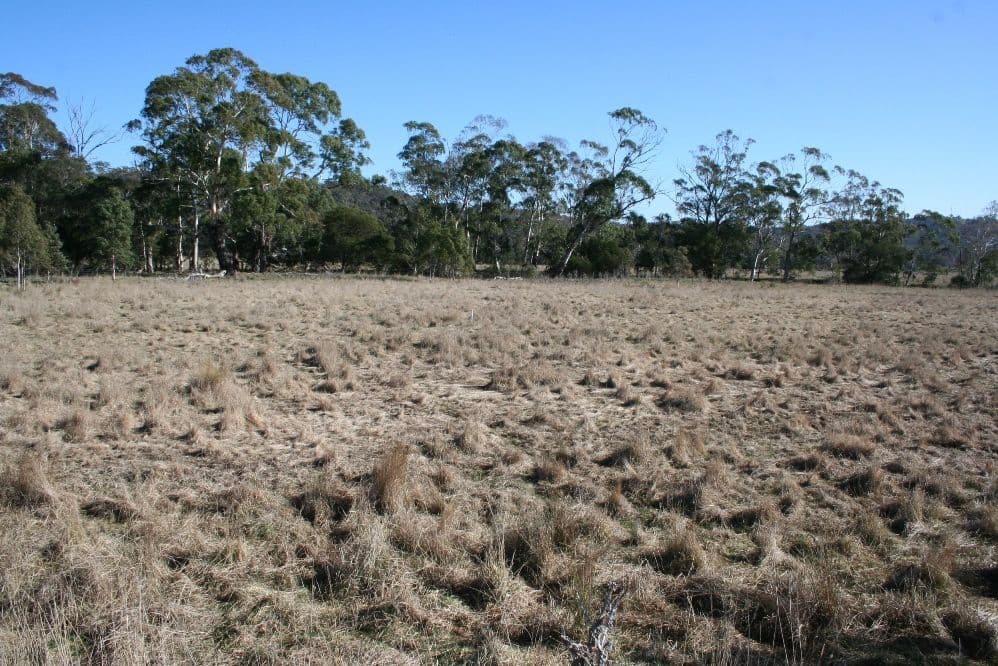 108 Jones Road, MANAR NSW 2622, Manar - Thumbnail 5