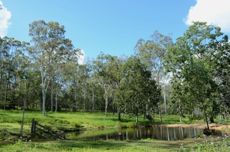 206 Clifton Drive, NORTH MACLEAN QLD 4280, North Maclean - Thumbnail 4