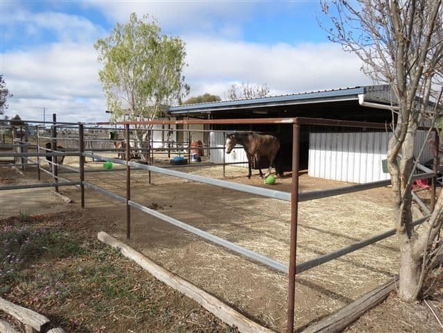 296 Roma Downs Road, ROMA QLD 4455, Roma - Thumbnail 6