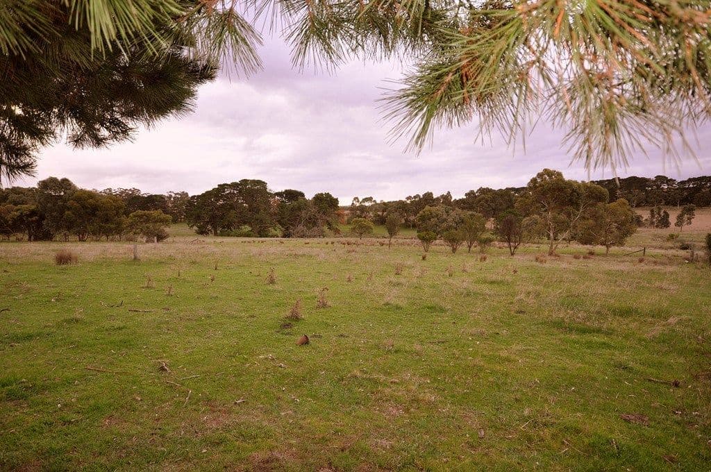20 Gray Street, LISMORE VIC 3324, Lismore - Thumbnail 8