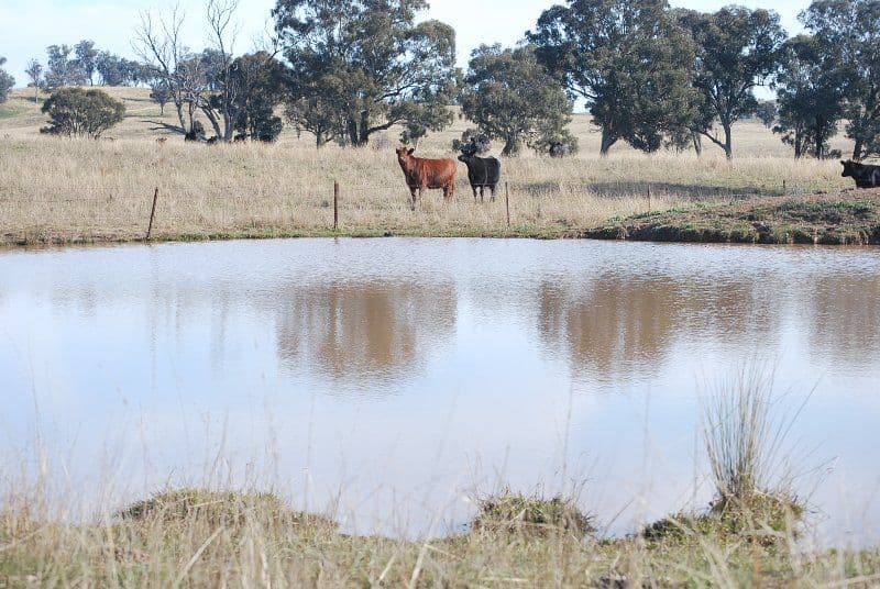 0 Burrendong Way, ORANGE NSW 2800, Orange - Thumbnail 8