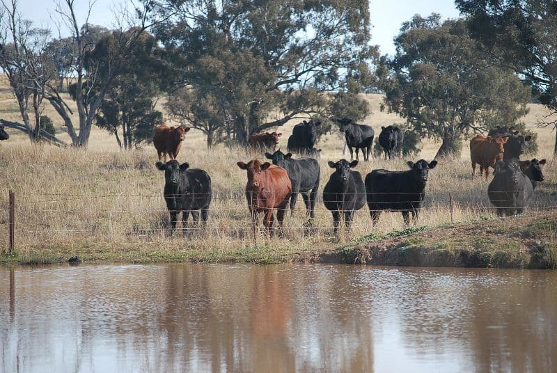 0 Burrendong Way, ORANGE NSW 2800, Orange - Thumbnail 2