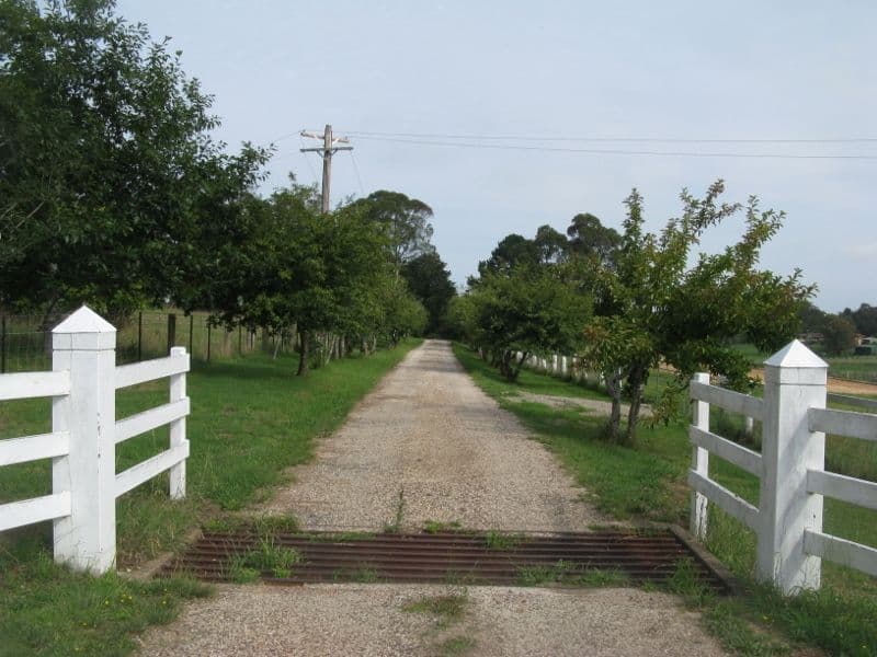262 Waterdale Road, Ivanhoe, Ivanhoe - Thumbnail 2