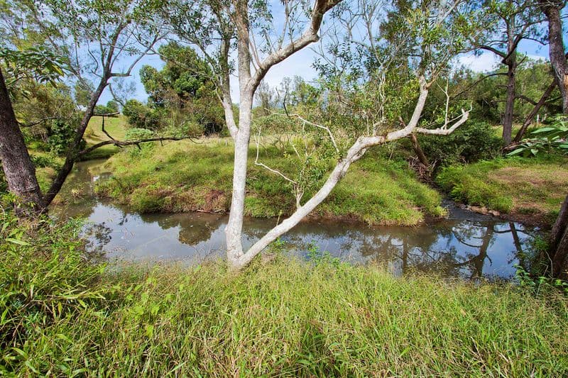 698 Brays Creek Road, TYALGUM NSW 2484, Tyalgum - Thumbnail 2